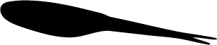 UGLY SLIN